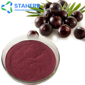 <strong>Acai</strong> Berry Berries Euterpe Oleracea Fruit Extract Palm Extract Powder <strong>P.E</strong>. Anthocyanin OPC Anthocyanosides Anthocyanidin - Product Image 3