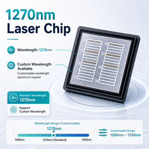 ชิปเลเซอร์เซมิคอนดักเตอร์ NK 1270nm 1/2W พร้อมการทำงานแบบ CW สำหรับแพ็คเกจ 2026 สำหรับการแพทย์และเครื่องสำอาง - Product Image 1