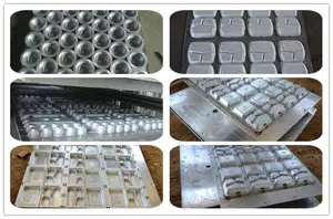 Machine de fabrication de boîtes de formage sous vide de plaques alimentaires en plastique automatique pour plateau en polystyrène