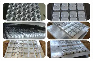 Polystyrene khay tự động nhựa tấm thực phẩm chân không hình thành hộp máy làm