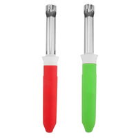2-in-1 Hoge Kwaliteit Handmatige Fruit- en Schilmesjes van RVS, Handheld Fruitontpitter en Schiltool voor de Keuken