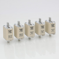 Fusible de Cuchilla Industrial de Alta Calidad NH00 Tamaño 00 HRC 80A 100A 160A 500V 690V con Alta Capacidad de Ruptura, Estándar IEC 60269