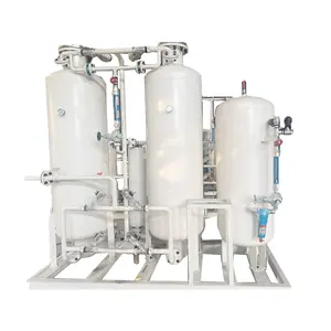 Hospital-Grade Containerized PSA Oxygen Generator - Efficient Medical Oxygen Production Plant