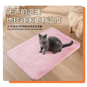 Nouvelle tapisserie pour animaux de compagnie en fausse fourrure de lapin pour l'automne et l'hiver, douce et chaude, adaptée aux chats et aux chiens, tapis personnalisables pour animaux de compagnie. - Product Image 4