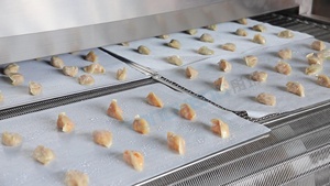 Tự Động Cấp Thực Phẩm Thép Không Gỉ Gạo siomai Chế Biến Thực Phẩm Hơi Nước Đường Hầm Máy Bánh Bao Hấp Dòng - Product Image 5