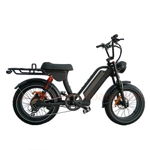 QUEENE/potente bombardiere Stealth 48V 500W 750W MTB bici elettrica Fat Tire bicicletta elettrica da montagna - Product Image 2