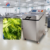 Commerciële automatische fruit- en groentedroger, flash-droogmachine voor verwerkingsbedrijven, catering, sla, spinazie, kool, dehydrator