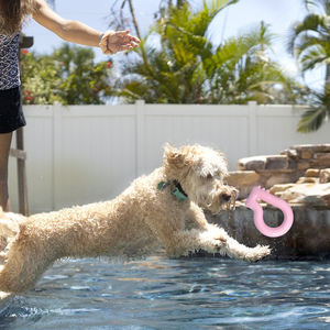 Jouets flottants pour chiens en TPR, motif dessin animé mignon multicolore, taille moyenne, pour l'intérieur/l'extérieur, emballés en sac, vente en gros par le fabricant Rena Pet - Product Image 4