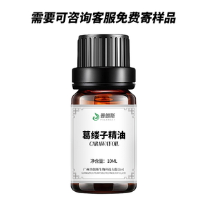 مورد زيت الكراواي بالجملة شركة تصنيع زيت الكراواي مصدرة Caraway بذور سعر الجملة - Product Image 3