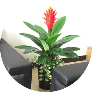 Bán Buôn Giá Thấp Rồng Nhân Tạo Cây Táo Trái Cây Trang Trí <span class=keywords><strong>Lemon</strong></span> <span class=keywords><strong>Tree</strong></span> Nghệ Thuật Cây Ăn Quả - Product Image 1