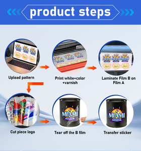 30cm A/B Film 2 in 1 Impresora Roll to Roll <b>Cup</b> Wrap Sticker <b>Printer</b> XP600 Colorsun UV DTF <b>Printer</b> Machine - Product Image 4
