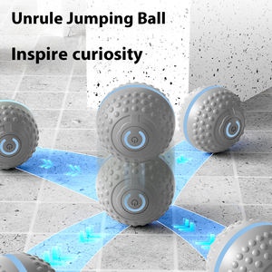 Palla Giocattolo Elettrica Automatica per Cani con Funzione di Pulizia dei Denti, Ricaricabile, in Silicone, Vendita Calda - Product Image 5