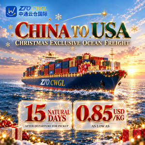 Spedizioniere Marittimo LCL+Express dalla Cina agli USA per Merci Generali con Supporto 24/7, Assicurazione e Consegna a Domicilio - Product Image 1
