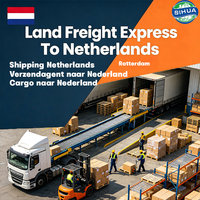Service d'expédition express de camions internationaux DDP vers les Pays-Bas Amsterdam Transitaire Transit rapide et sûr