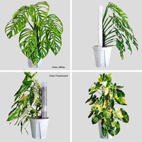 Bâton modulaire en plastique pour plantes Monstera Bâtons pour plantes grimpantes Support pour plantes d'intérieur Ensemble de poteaux pour mousse de sphaigne