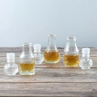 Mini-bouteilles de vin, bouteilles de sauce piquante, petits flacons à shot avec couvercle en verre, entonnoir à liquide pour un remplissage facile, idéal pour les fêtes