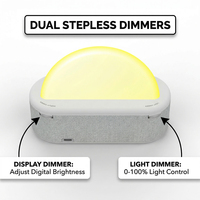 Machine à bruit blanc pour un sommeil profond avec sons de pluie, d'océan et de la nature, et réveil avec lumière d'aube dimmable pour thérapie par la lumière
