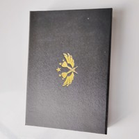 Vente flash - Ensemble de fléchettes à pointe souple en acier JF-FIT AP-934 personnalisé de 12 pièces avec boîte cadeau et logo personnalisé pour les jeux de fléchettes
