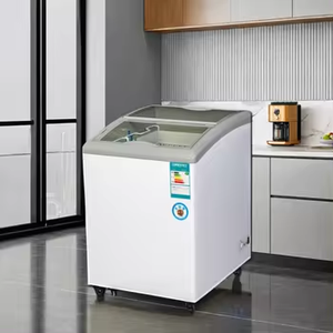 Thời trang và đơn giản xuất hiện Tủ đông FRZR-100L thương mại Ice Cream ngực Tủ đông Thiết bị làm lạnh với thiết kế mới - Product Image 4