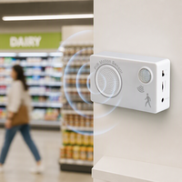 Lecteur MP3 personnalisable à détection de mouvement PIR avec audio téléchargeable par USB pour l'accueil et la publicité en magasin