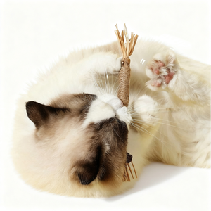 Natuurlijk Matatabi Sticks Kattenkruid Kauwspeelgoed-Bijtbestendig En Tandenreiniging Voor Interactieve Huisdieren Binnenshuis - Product Image 2