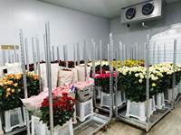 Chariot à mailles métalliques à quatre roues pour pot de fleurs pour marché aux enchères Wagon de transport robuste pour grandes plantes en pot OEM