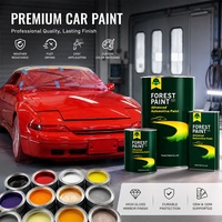 Peinture Effet Miroir pour Voiture Acrylique 2K, Réparation Automobile, Couleurs Unies, Vernis Transparent, Durcisseur, Diluant, Peinture Automobile