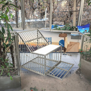 Gabbia 202 per piccioni viaggiatori in acciaio inossidabile speciale gabbia per allevamento di uccelli volanti con ingresso competitivo spedizione gratuita di forniture per uccelli - Product Image 6