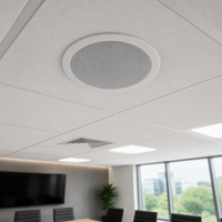 Altoparlante da Soffitto HS65CL per Diffusione Pubblica e Musica di Sottofondo, 100W 100Hz-20kHz, Nero, per Rinforzo Sonoro