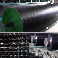 Zonwerend doek van HDPE, zwaar, gewarp-knitted, 70%-90% UV-bestendig voor kas, landbouw en agrarische schaduwnetten.