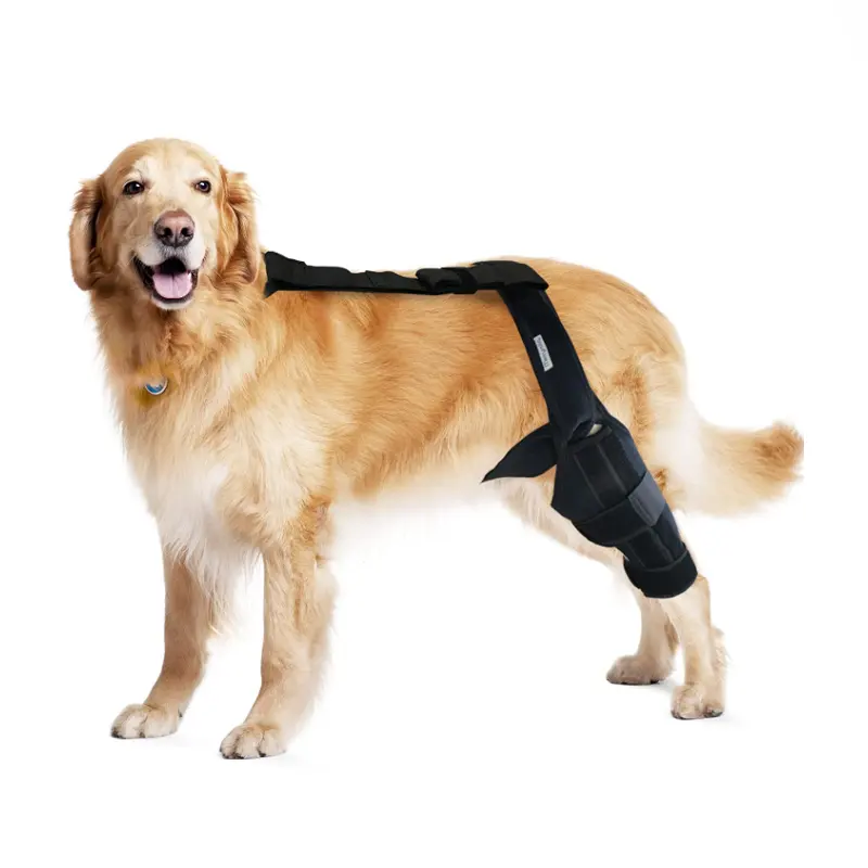Canine Knee Support Recovery Sleeve Harness Neoprene Orthopedic Original Medical Dog Knee Brace for ACL