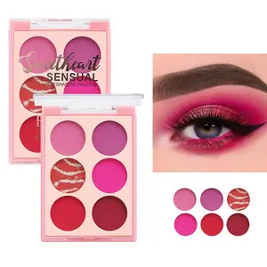 6-color INS makeup explosions matte eye shadow wholesale Europe and the United States foreign trade beauty smoke plate