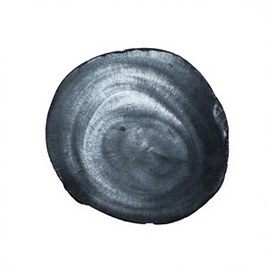 Charbon de bois dur de Khaya à faible teneur en cendres et à combustion longue durée pour les grillades du week-end dans le jardin - Product Image 1