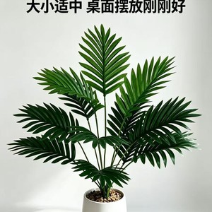 Plante artificielle de palmier Areca en pot, verdure d'intérieur pour la décoration de salon et de maison - Product Image 5