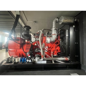 Générateur industriel au gaz à alternateur, durée de vie du moteur longue durée, 50 kVA, 60 kVA, 800 kVA, 1000 kVA, meilleur générateur au gaz industriel - Product Image 3