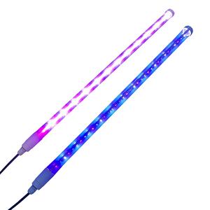 Lampe LED <span class=keywords><strong>pour</strong></span> la culture <span class=keywords><strong>d</strong></span>'algues <span class=keywords><strong>pour</strong></span> l'élevage de Chlorella, Nannochloropsis et microalgues - Product Image 2