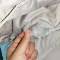 Édredon en duvet d'oie/canard personnalisé, 100% coton, 400 TC, 1 pièce, couette quatre saisons, hôtel