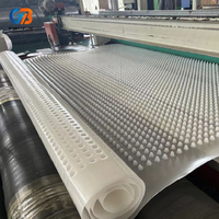 Planche de drainage concave moderne en plastique HDPE durable et imperméable pour tunnels, sous-sols, fondations, jardins, barrages, écoles