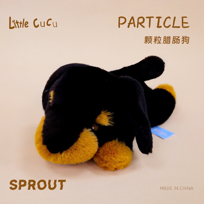 Teckel particulaires