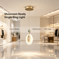 Lampe suspendue ovale simple de luxe moderne, dorée, LED, mini, pour chevet
