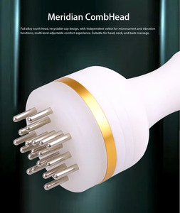 Appareil de soin capillaire 3 en 1 à succès avec pistolet pulvérisateur nano atomisant et électrothérapie haute fréquence pour le rajeunissement du cuir chevelu - Product Image 4