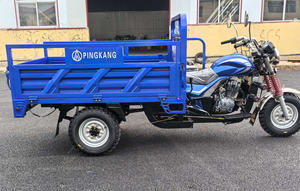 Camión Volquete Hidráulico de Doble Eje y Nueve Ruedas con Motocicleta de Tres Ruedas Flexible para Transporte Especial de Pasajeros - Product Image 4