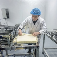 Machine à Tofu Commerciale SDFJ-130 pour Restaurants, Centres Commerciaux et Cantines – Machine à Fabriquer le Tofu, Presse à Tofu
