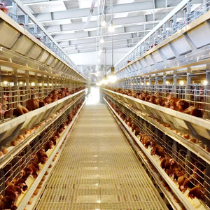 <b>Chicken</b> layer <b>cage</b> poultry feed making machine poultry battery <b>cages</b> for poultry <b>chicken</b> layer - Product Image 6