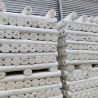 Tissu de doublure et de rembourrage en pongé tissé 100 % polyester respirant et imperméable 75D 210T pour garçons – Prix de gros usine
