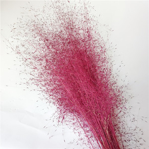 Ins Phong Cách Pampas Cỏ Trang Trí Nội Thất 50 Thân Cây Lông Mịn Muhlenbergia Bảo Quản Hoa Khô <span class=keywords><strong>Muhly</strong></span> Cỏ Cho Các Sự Kiện Nhà Đám Cưới - Product Image 2