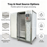 Four de séchage industriel à circulation d'air chaud pour tranches de gingembre, déshydrateur de gingembre en acier inoxydable
