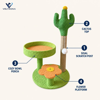 Arbre à chat multi-niveaux en forme de cactus du désert avec repose-pieds confortable et plateforme florale