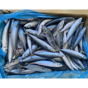 Pescado Atún del Pacífico Congelado Entero, Atún del Pacífico Congelado a Granel 300-400g - Product Image 2