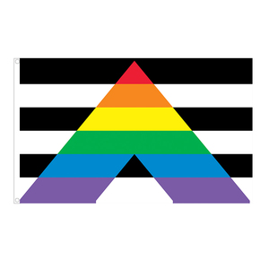 Venta al por mayor Lgbtq lesbiana homosexual bisexual bandera del arco iris pansexualidad transgénero Lgbt bandera del orgullo gay - Product Image 1